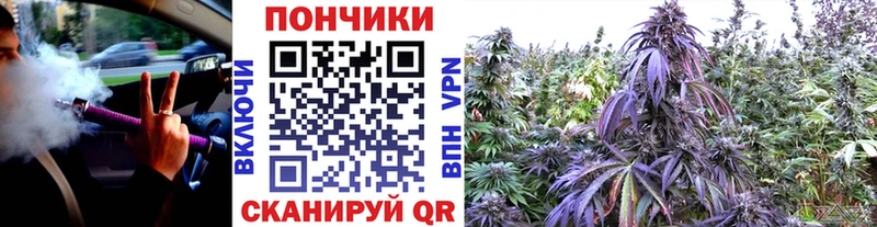 Бошки марихуана марихуана mega онион Кола наркота